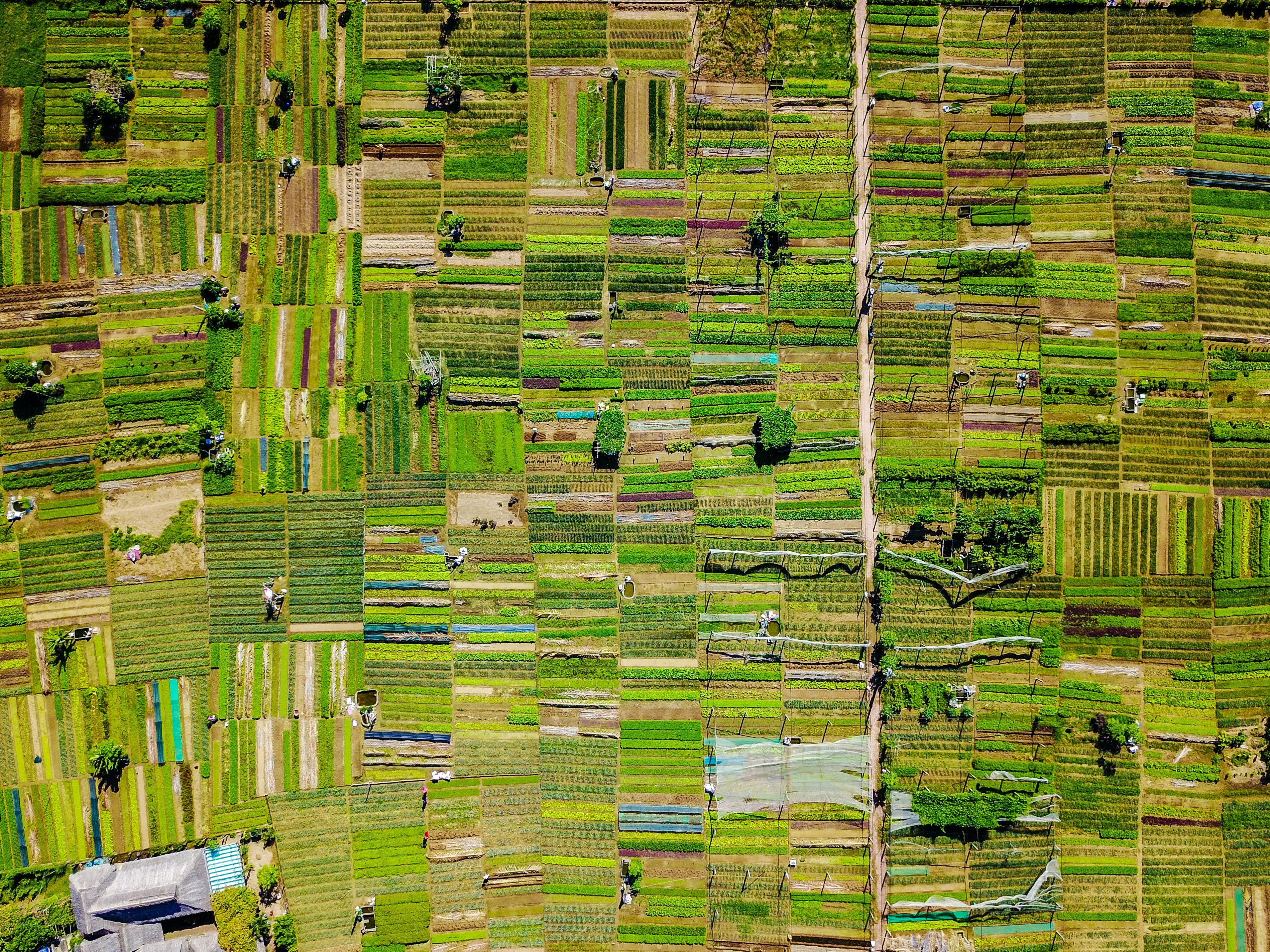 An aerial view of lots of fields